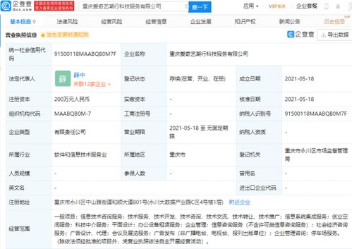 愛奇藝布局科技服務新領(lǐng)域 參股成立科技服務公司